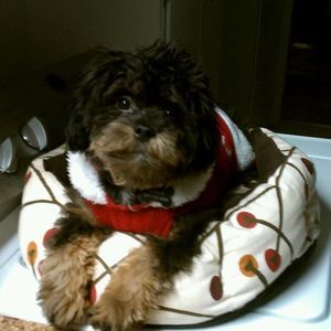 Meet your Posher, Sonny